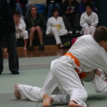 IMG_0079 (2)