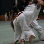 IMG_0084 (2)