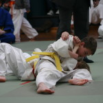 IMG_0100 (2)