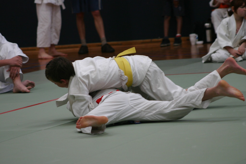 IMG_0114 (2)