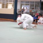 IMG_0318