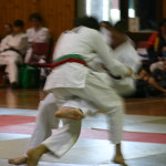 IMG_0287